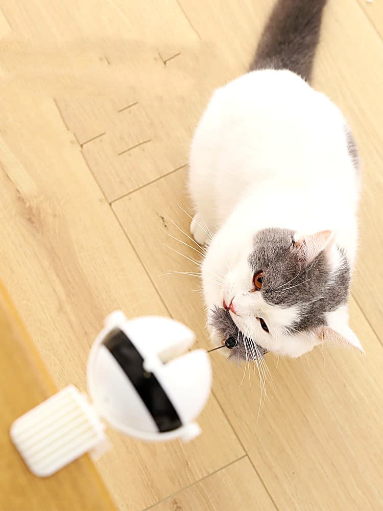 Jouet chat électrique interactif rotatif