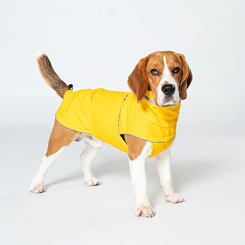 Doudoune Imperméable Coupe-Vent