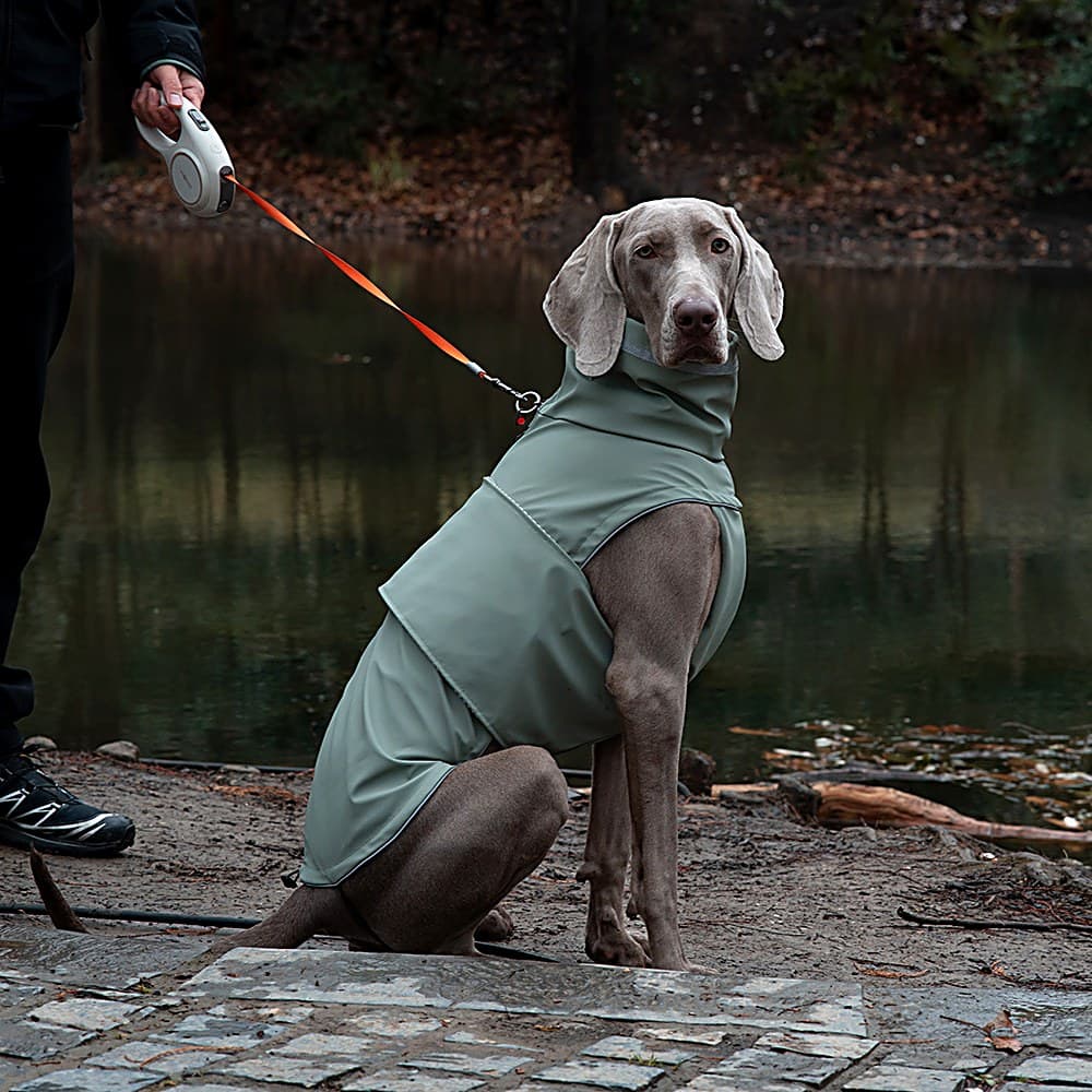 Doudoune Imperméable Coupe-Vent