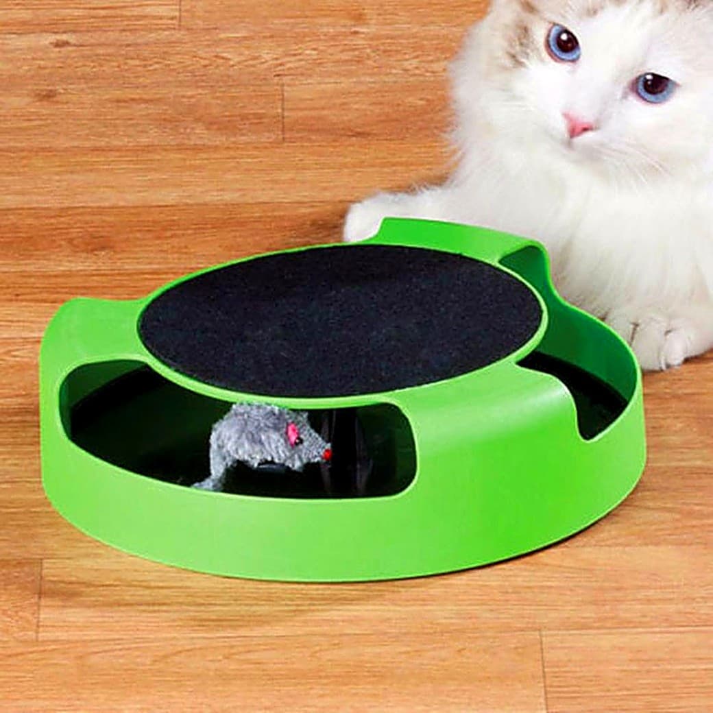 Circuit attrape-souris avec griffoir pour chat