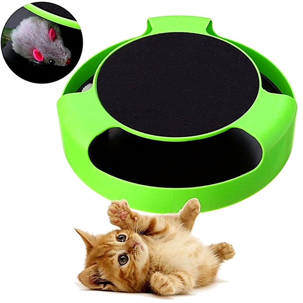 Circuit attrape-souris avec griffoir pour chat