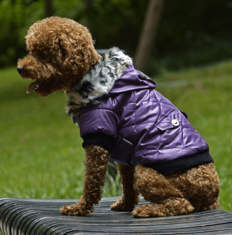 Manteau à Capuche Col Léopard