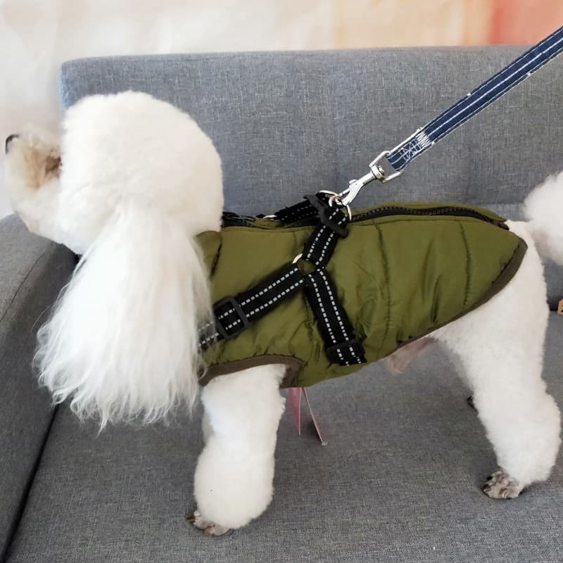 Manteau d'Hiver Imperméable à Harnais