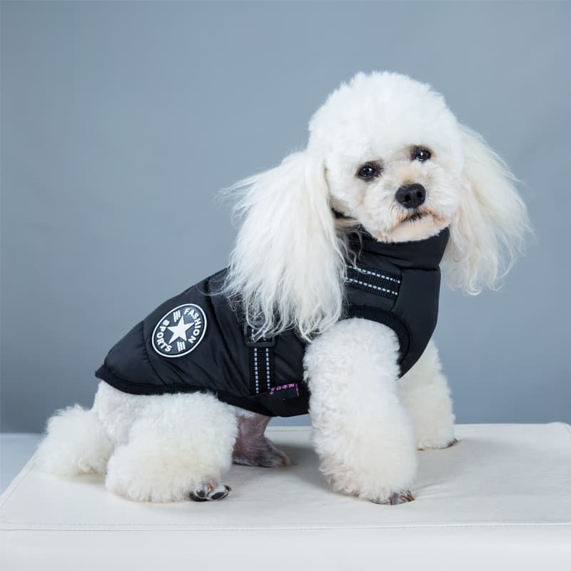 Manteau d'Hiver Imperméable à Harnais