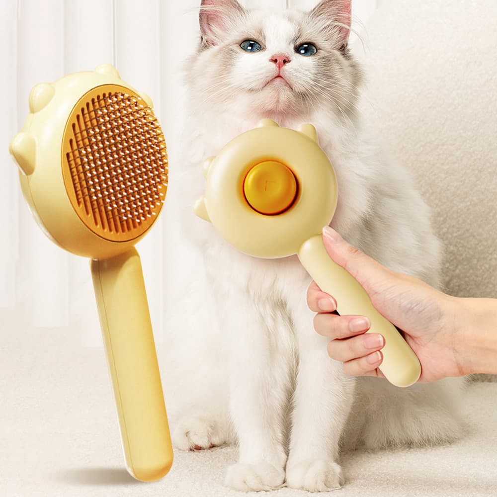 Brosse de Massage Anti-Mue