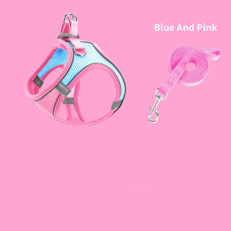 Bleu/Rose