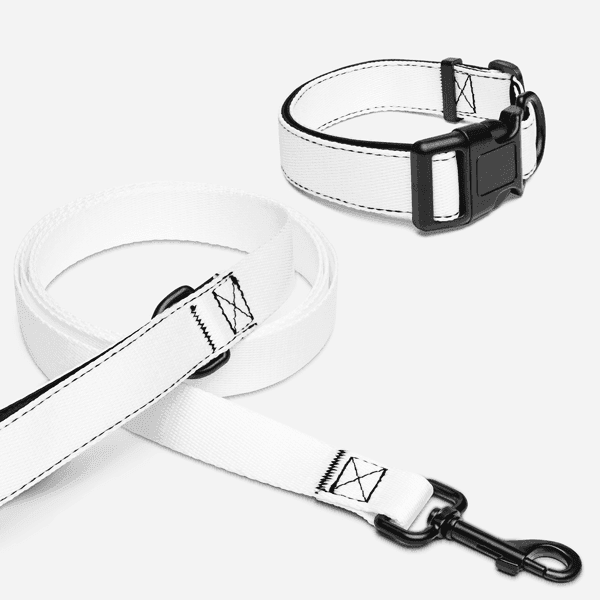 Ensemble collier + laisse Duo