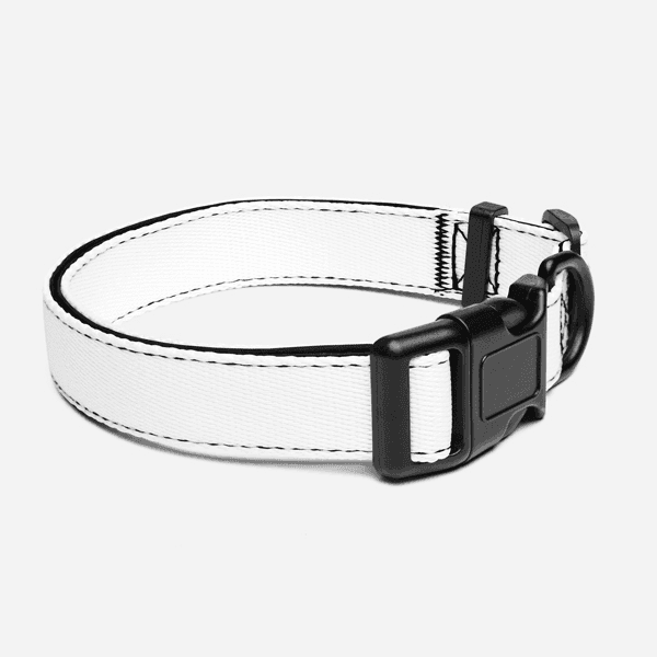 Collier réfléchissant Nuit