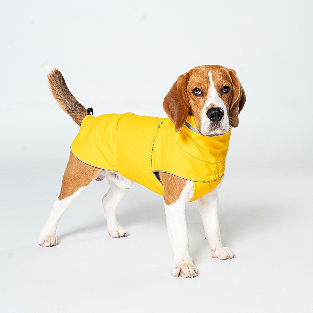 Jaune — Doudoune Imperméable Coupe-Vent