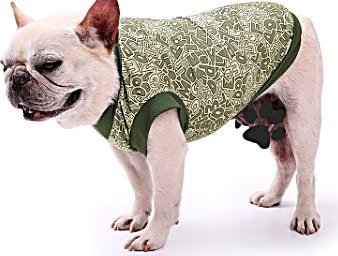 Gilet Rafraîchissant d'Été