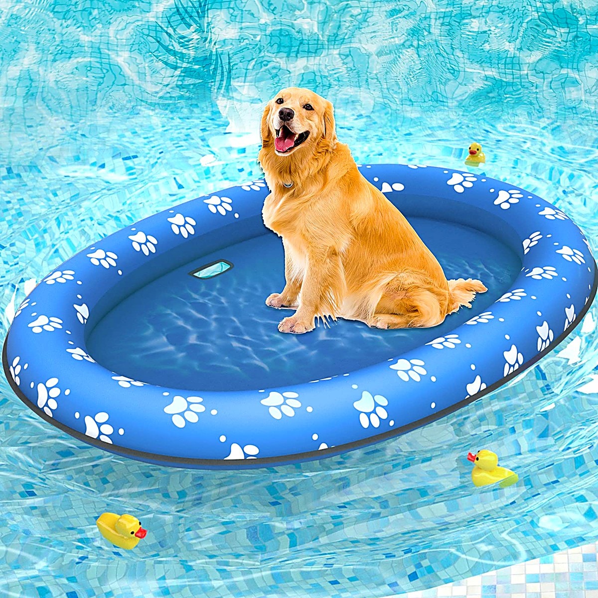 Radeau Flottant de Piscine pour Chien