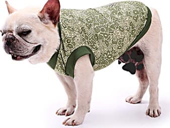 Gilet Rafraîchissant d'Été