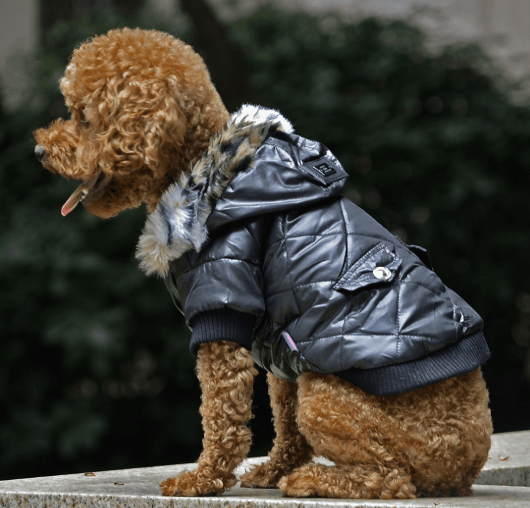 Manteau à Capuche Col Léopard