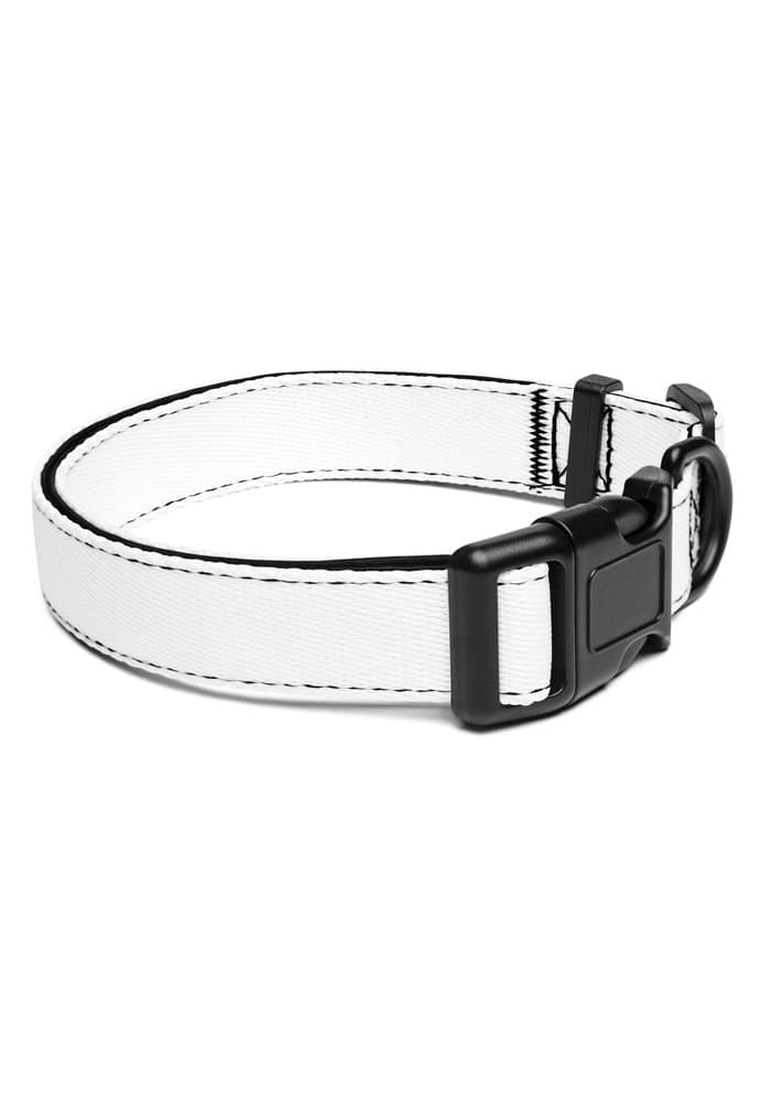 Harnais ou collier : que choisir pour son chien ?