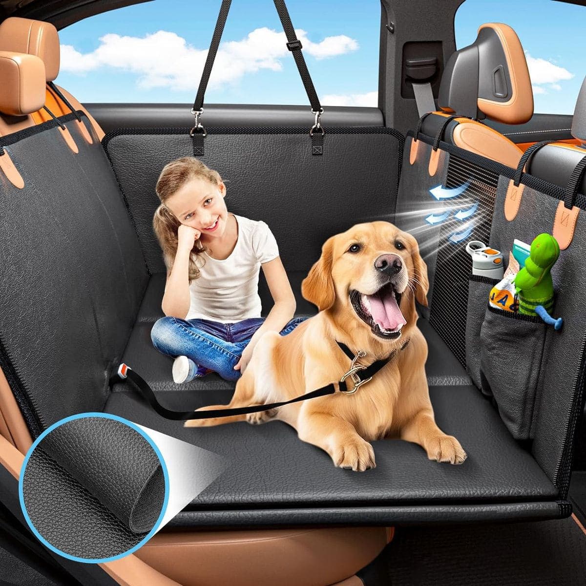 Voyager en voiture avec son chien : la checklist sécurité